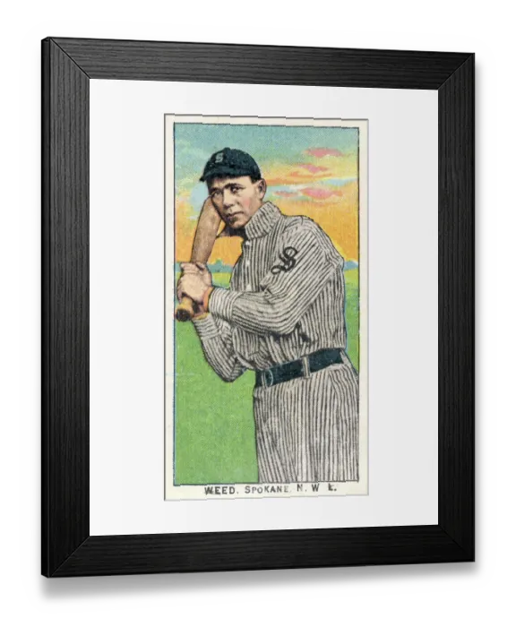 Framed Print : Cigarette Card Of Spokane's Weed Framed Print : Cigarette Card Of Spokane's Weed