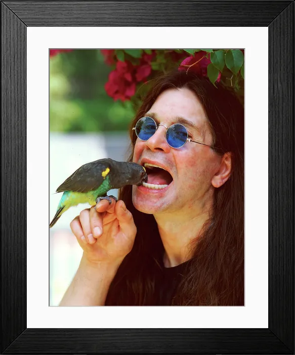 Framed Print : Singer Ossy Osbourne at home in Beverly Hills, California Framed Print : Singer Ossy Osbourne at home in Beverly Hills, California