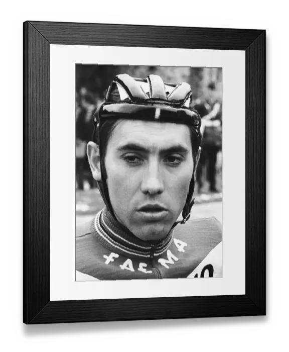 Framed Print : Portrait of Eddy Merckx Framed Print : Portrait of Eddy Merckx
