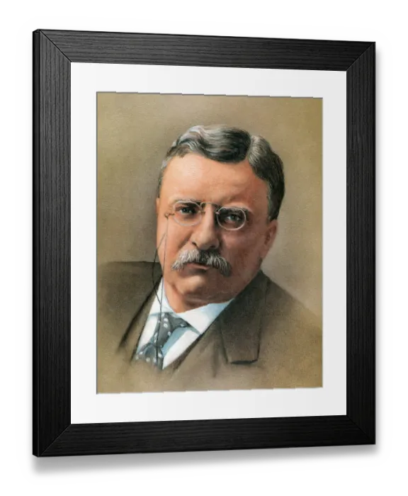 Framed Print : Theodore Roosevelt Framed Print : Theodore Roosevelt