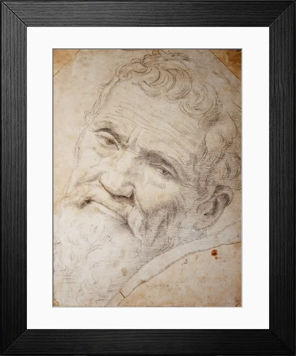 Framed Print : Portrait Of Michelangelo Buonarroti (1475-1564) Framed Print : Portrait Of Michelangelo Buonarroti (1475-1564)