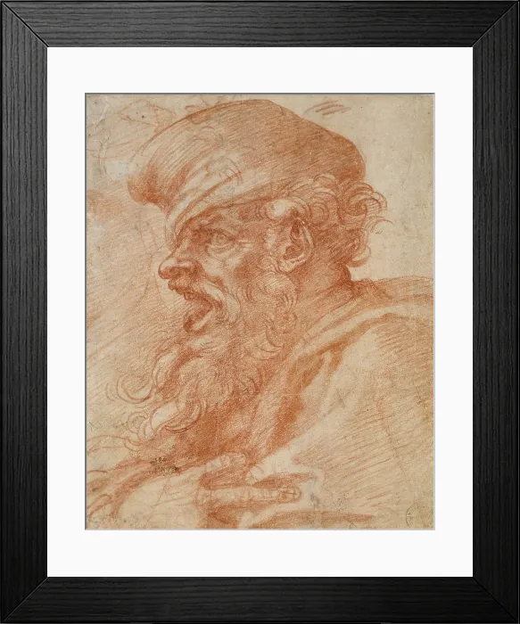 Framed Print : Head Of A Bearded Man Shouting Framed Print : Head Of A Bearded Man Shouting