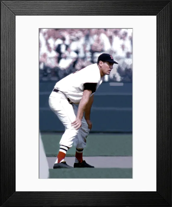 Framed Print : Boston Red Sox Framed Print : Boston Red Sox