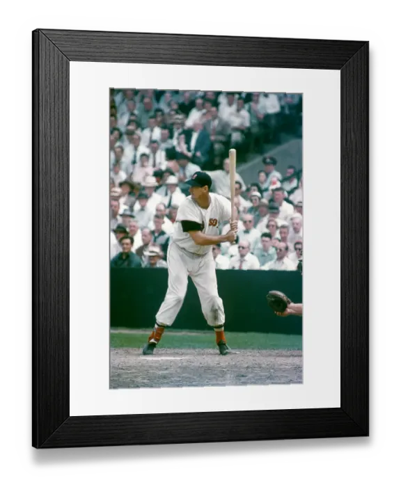 Framed Print : Boston Red Sox Framed Print : Boston Red Sox