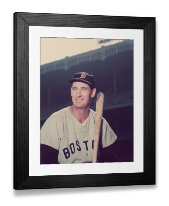 Framed Print : Ted Williams Framed Print : Ted Williams
