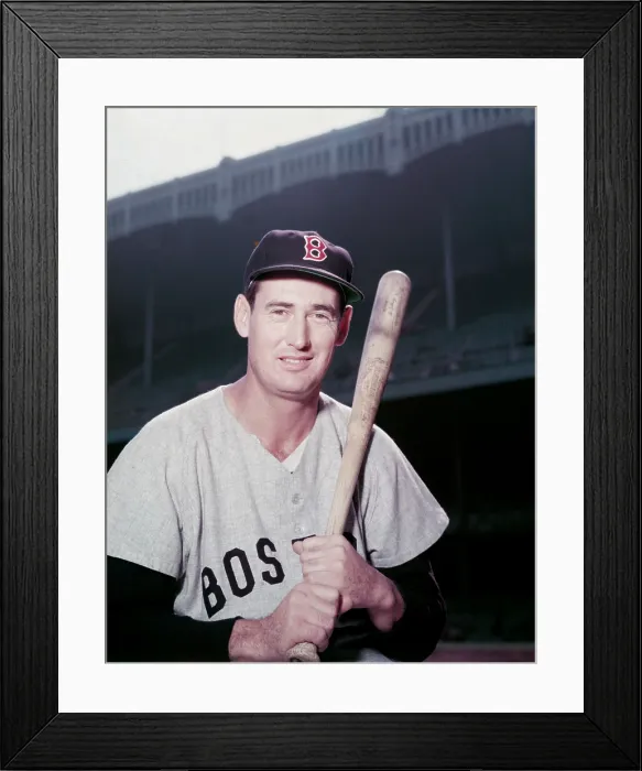 Framed Print : Ted Williams Framed Print : Ted Williams