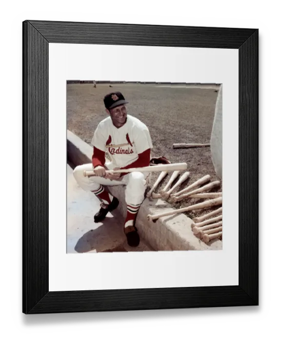 Framed Print : St. Louis Cardinals Framed Print : St. Louis Cardinals