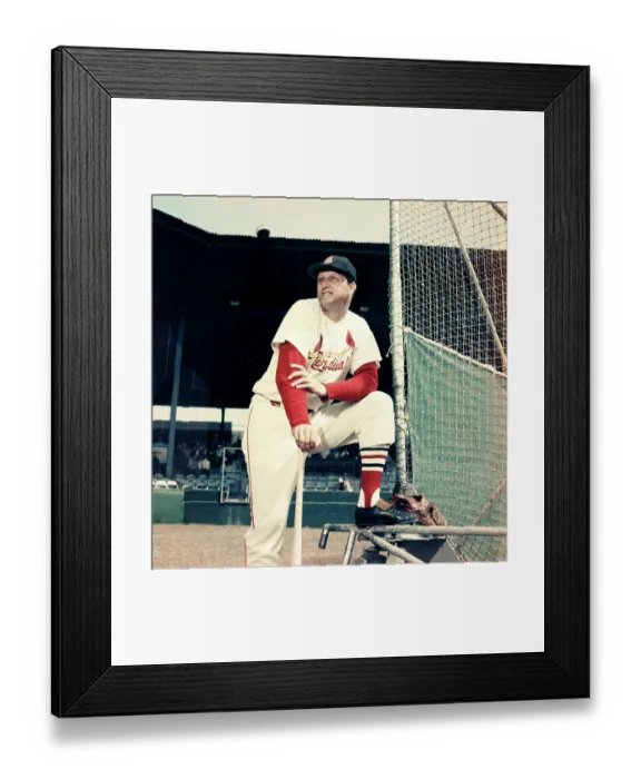 Framed Print : St. Louis Cardinals Framed Print : St. Louis Cardinals