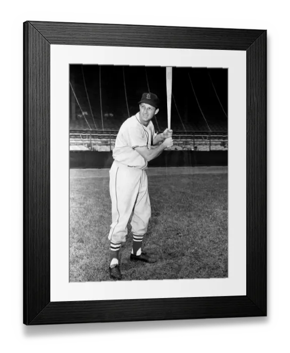 Framed Print : St. Louis Cardinals Framed Print : St. Louis Cardinals