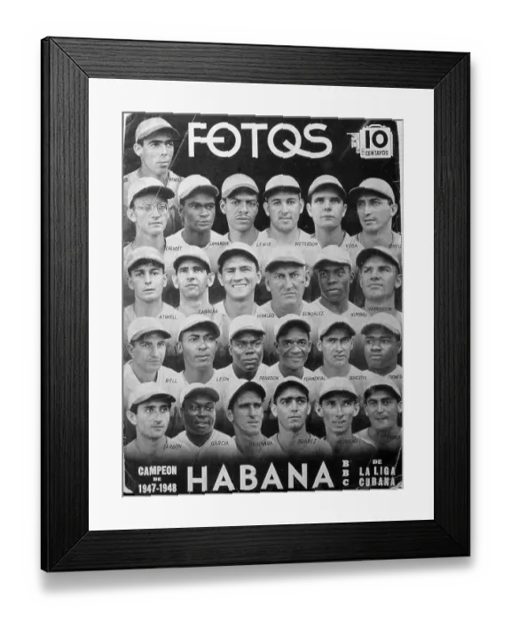 Framed Print : Havana Champs Team Collage Framed Print : Havana Champs Team Collage