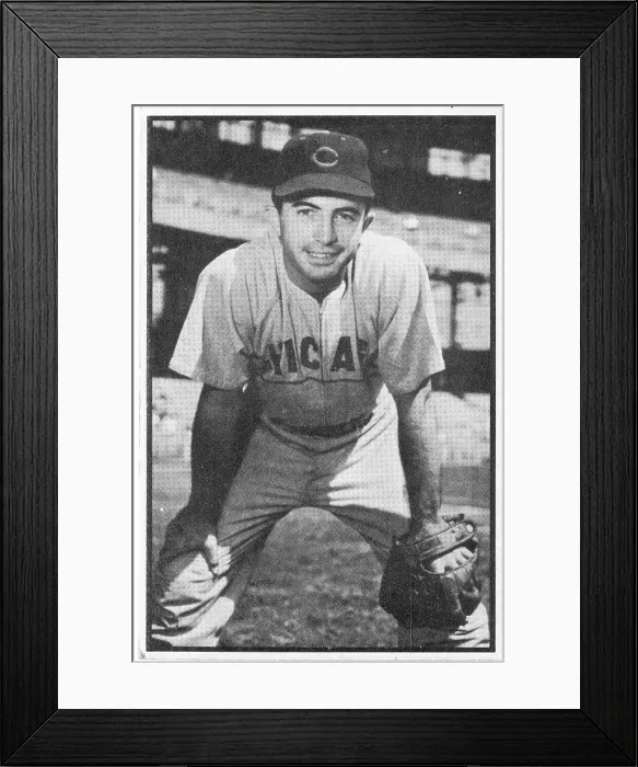 Framed Print : Randy Jackson Gum Card Framed Print : Randy Jackson Gum Card