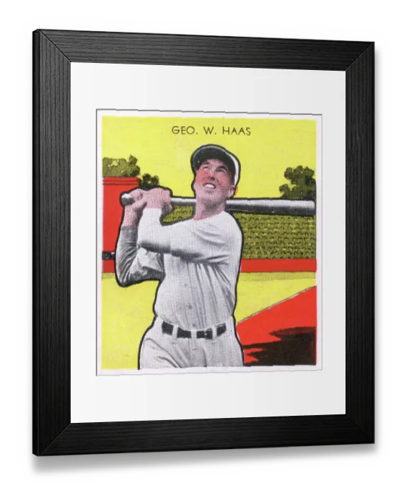 Framed Print : Gum Card Of Mule Haas Framed Print : Gum Card Of Mule Haas