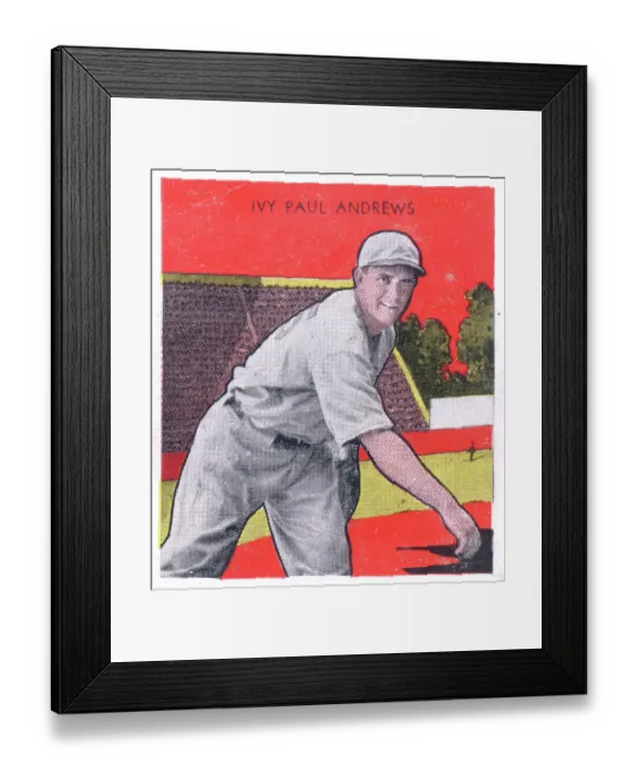Framed Print : Ivy Andrews Gum Card Framed Print : Ivy Andrews Gum Card