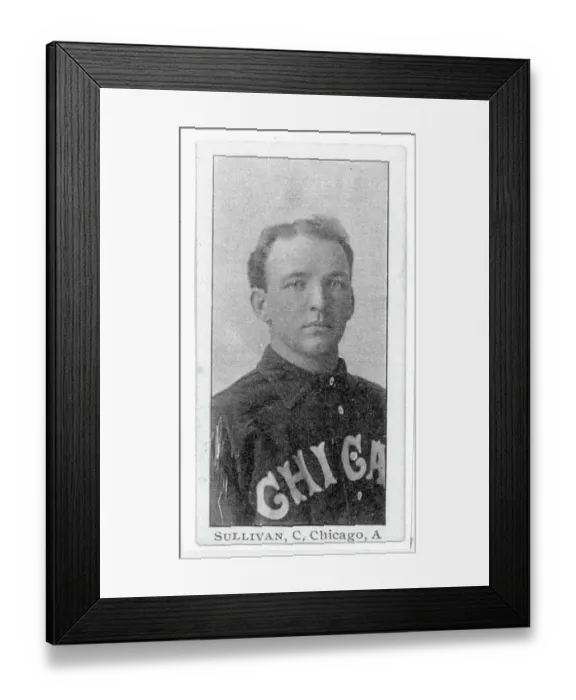 Framed Print : Billy Sullivan Baseball Card Framed Print : Billy Sullivan Baseball Card