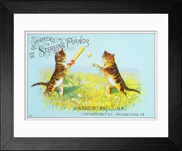 Framed Print : Kitten Baseball VTC