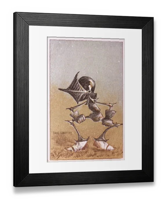 Framed Print : Umpire Headhands VTC Framed Print : Umpire Headhands VTC