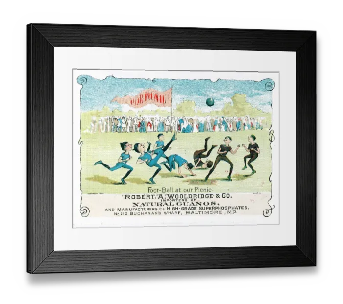 Framed Print : Pixie Picnic Baseball Framed Print : Pixie Picnic Baseball