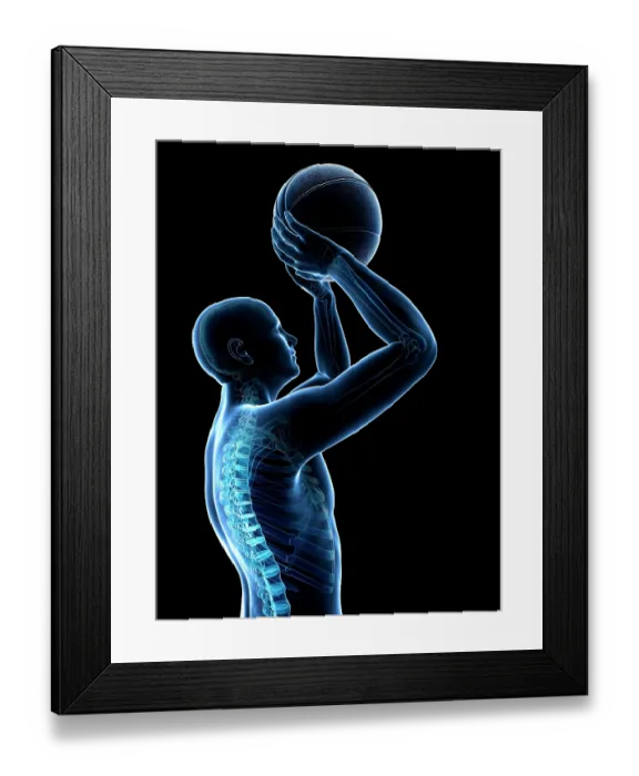 Framed Print : Male skeleton, artwork Framed Print : Male skeleton, artwork
