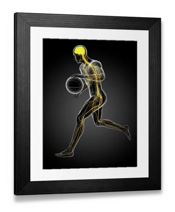Framed Print : Basketball player, artwork Framed Print : Basketball player, artwork