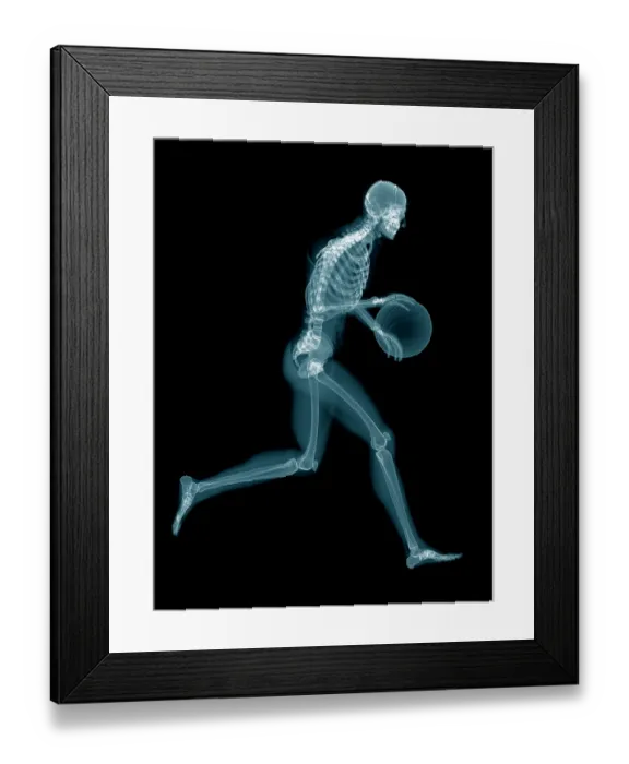Framed Print : Basketball players skeletal structure, illustration Framed Print : Basketball players skeletal structure, illustration