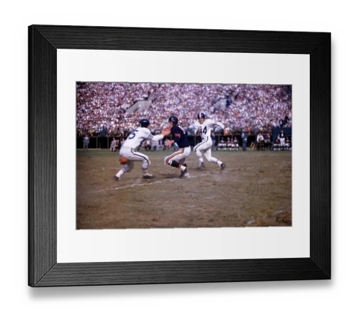 Framed Print : Chicago Bears v Baltimore Colts Framed Print : Chicago Bears v Baltimore Colts