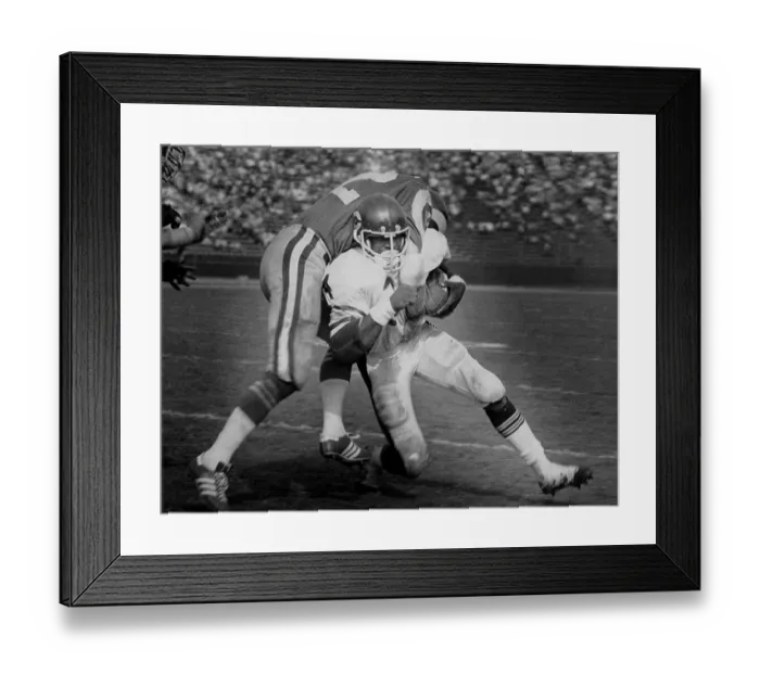Framed Print : Chicago Bears Rookie Walter Payton Framed Print : Chicago Bears Rookie Walter Payton
