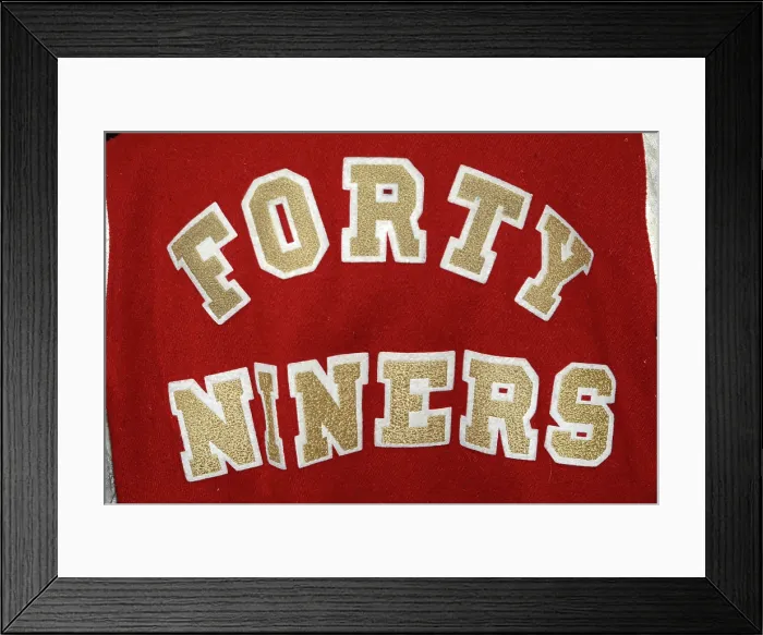 Framed Print : Antique shop collectibles