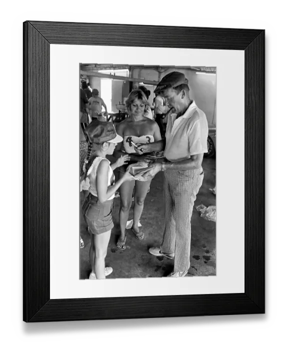 Framed Print : 1981 Firecracker 400 Framed Print : 1981 Firecracker 400