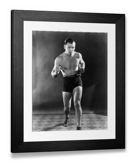 Framed Print : American Champ Framed Print : American Champ