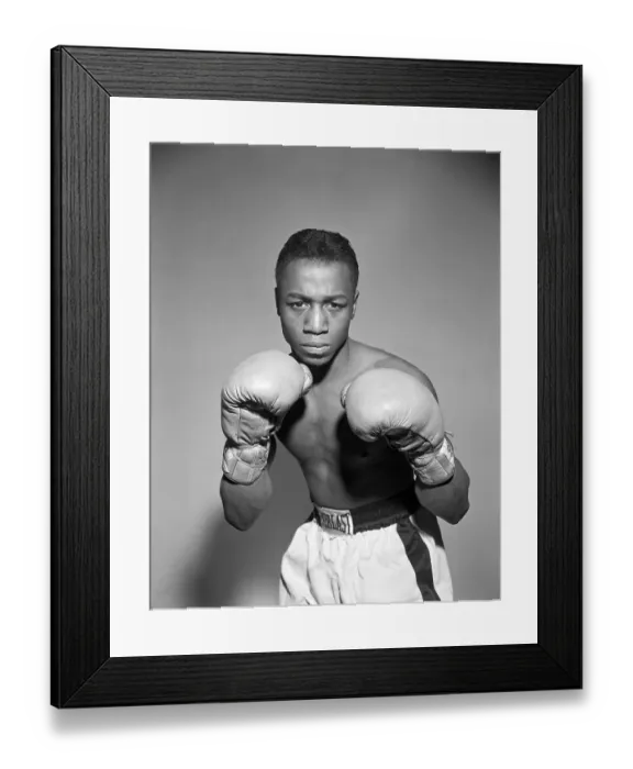 Framed Print : Jackie Spurgeon Framed Print : Jackie Spurgeon