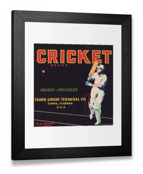 Framed Print : Cricket Brand Framed Print : Cricket Brand