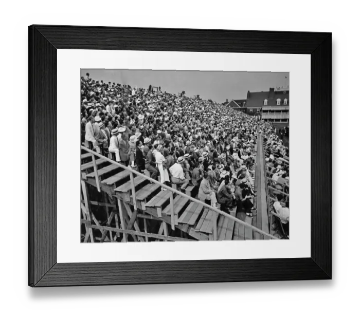 Framed Print : Cricket In America Framed Print : Cricket In America