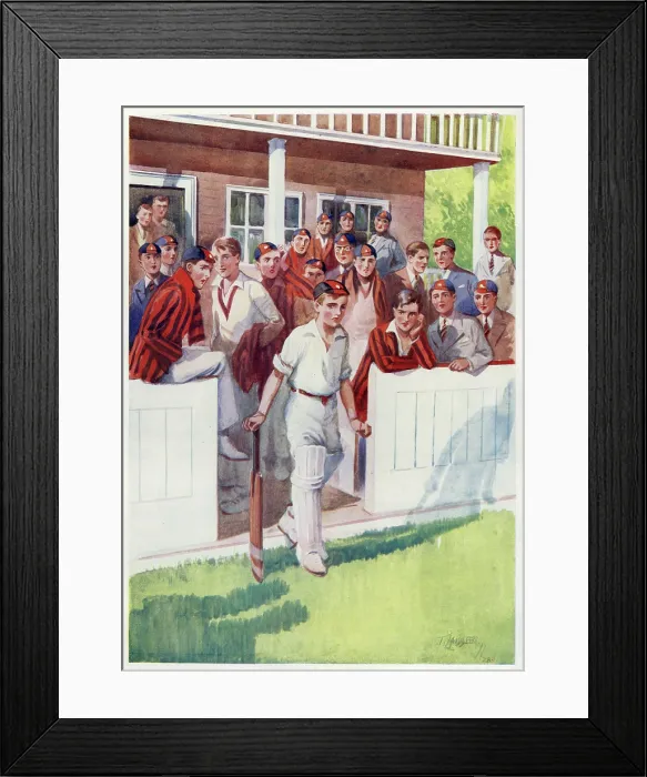 Framed Print : Cricket Pressure Framed Print : Cricket Pressure