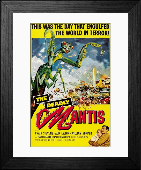 Framed Print : The Deadly Mantis Framed Print : The Deadly Mantis