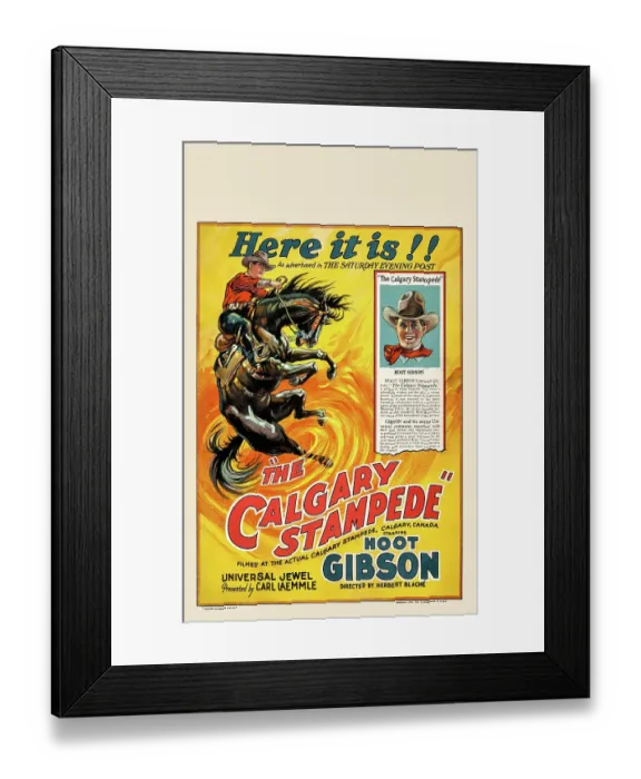 Framed Print : The Calgary Stampede Framed Print : The Calgary Stampede