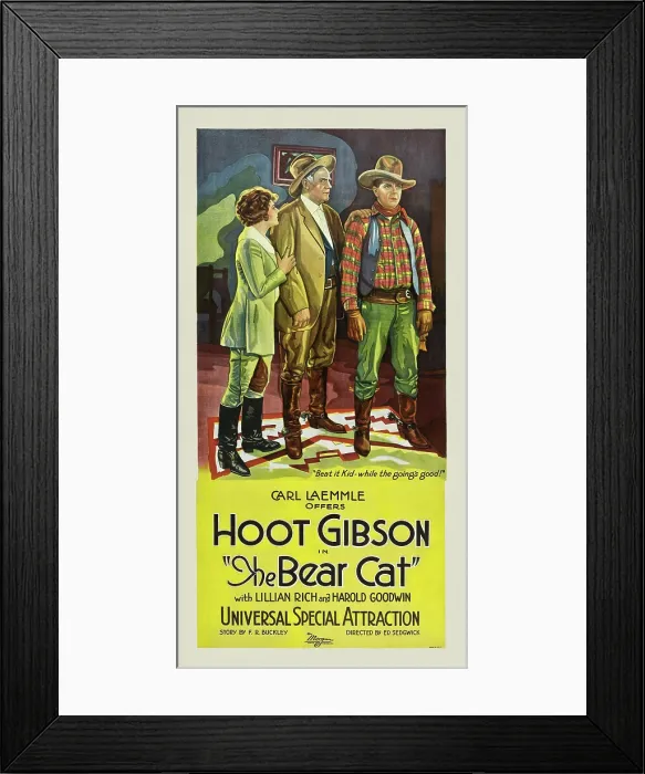 Framed Print : The Bear Cat Framed Print : The Bear Cat
