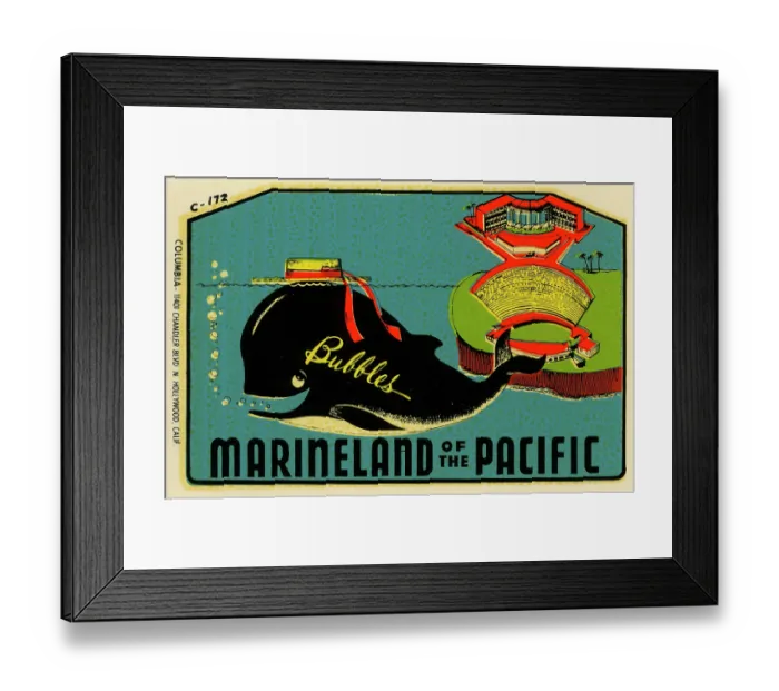 Framed Print : Marineland of the Pacific Framed Print : Marineland of the Pacific