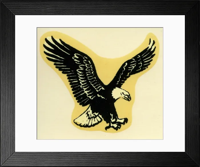 Framed Print : Bald Eagle Framed Print : Bald Eagle