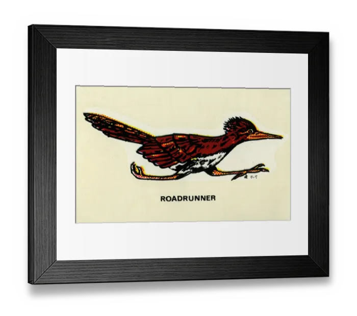 Framed Print : Roadrunner Framed Print : Roadrunner