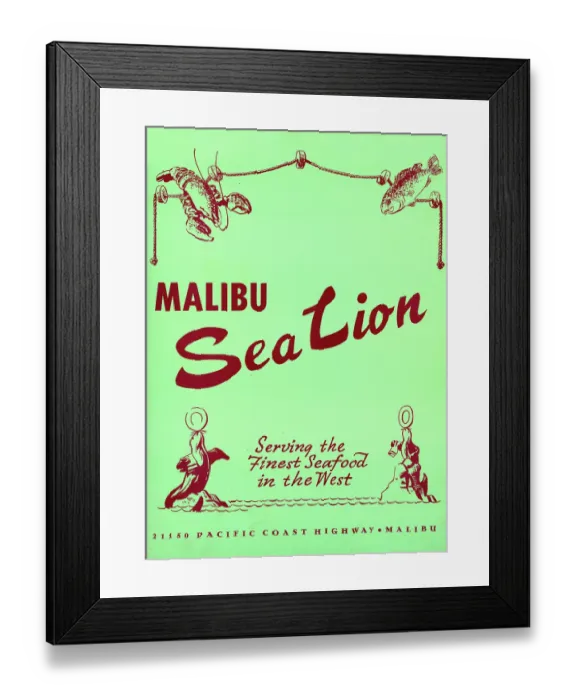Framed Print : Malibu Sea Lion Framed Print : Malibu Sea Lion