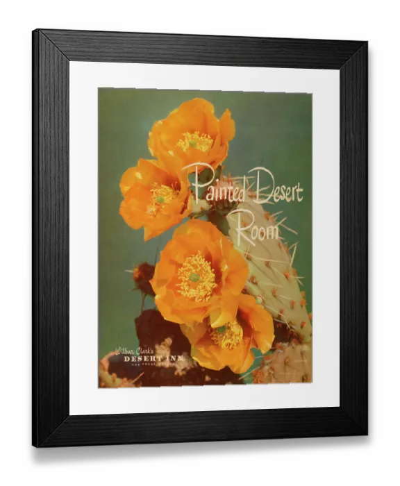 Framed Print : Painted Desert Room Framed Print : Painted Desert Room