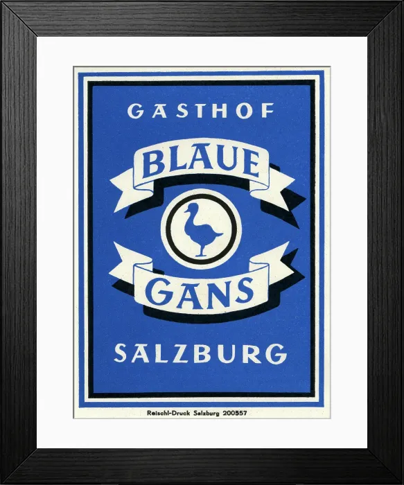 Framed Print : Blaue Gans Framed Print : Blaue Gans