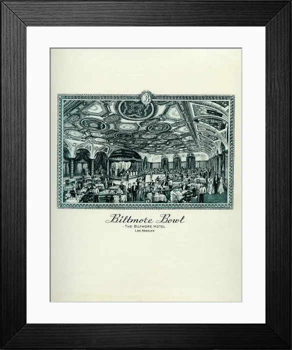 Framed Print : Biltmore Hotel, Biltmore Bowl Framed Print : Biltmore Hotel, Biltmore Bowl