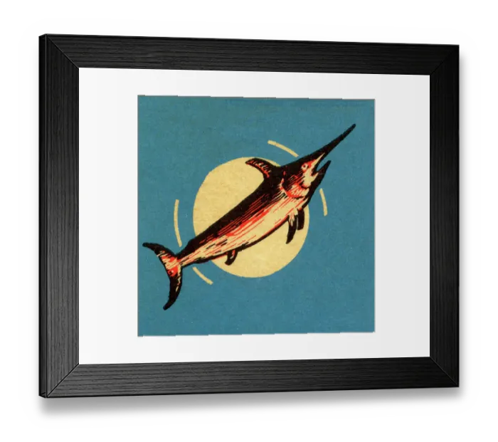 Framed Print : Swordfish. Matchbook image of swordfish in motion against a blue background Framed Print : Swordfish. Matchbook image of swordfish in motion against a blue background