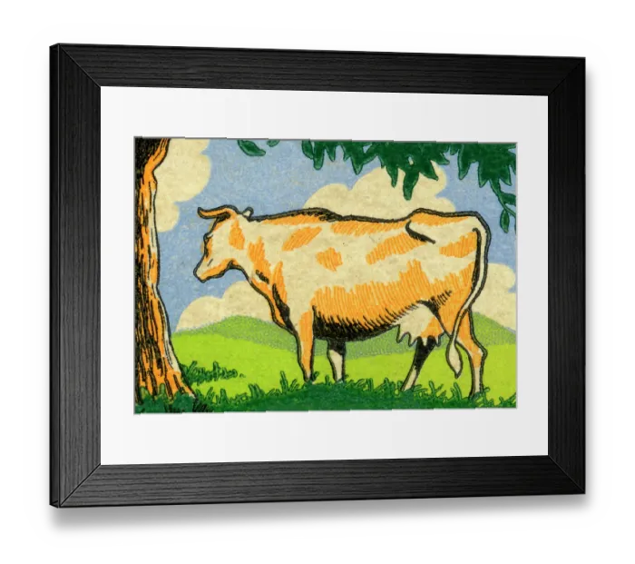 Framed Print : Cow in pasture Framed Print : Cow in pasture