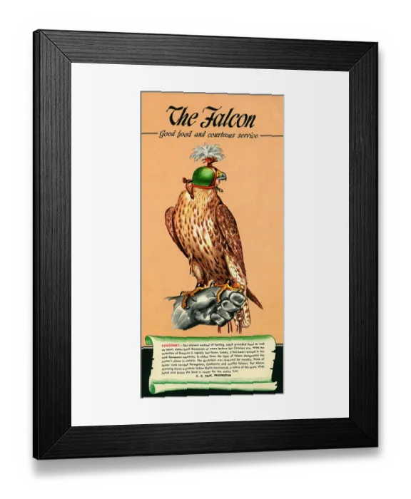 Framed Print : Falcon, The Framed Print : Falcon, The