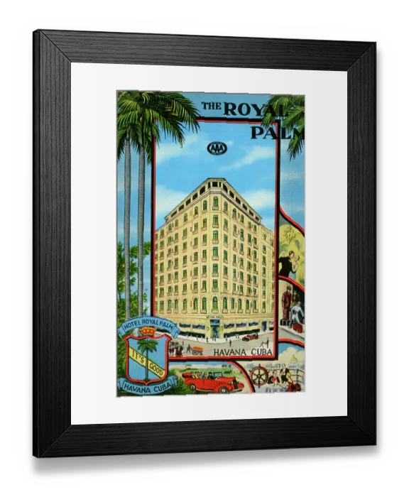 Framed Print : Royal Palm, The Framed Print : Royal Palm, The