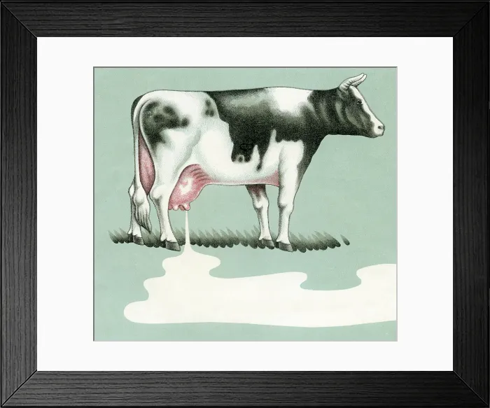 Framed Print : Moo Cow Milk Framed Print : Moo Cow Milk