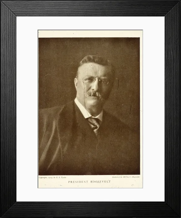 Framed Print : Teddy Roosevelt Framed Print : Teddy Roosevelt