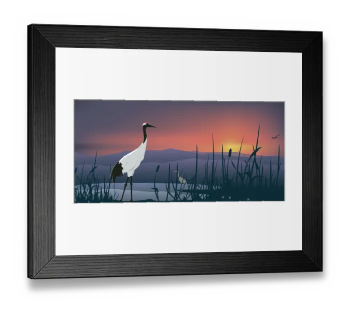 Framed Print : Beautiful Bird Species, 176220613 Framed Print : Beautiful Bird Species, 176220613
